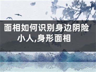 面相如何识别身边阴险小人,身形面相