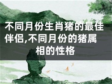 不同月份生肖猪的最佳伴侣,不同月份的猪属相的性格