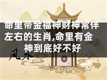 命里带金福神财神常伴左右的生肖,命里有金神到底好不好