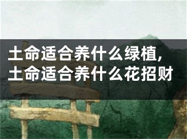 土命适合养什么绿植,土命适合养什么花招财