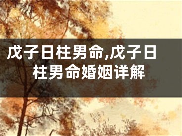 戊子日柱男命,戊子日柱男命婚姻详解