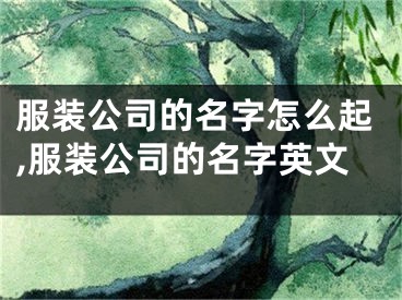 服装公司的名字怎么起,服装公司的名字英文