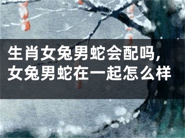 生肖女兔男蛇会配吗,女兔男蛇在一起怎么样