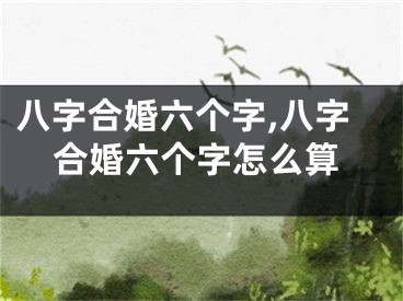 八字合婚六个字,八字合婚六个字怎么算