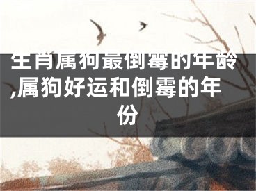 生肖属狗最倒霉的年龄,属狗好运和倒霉的年份