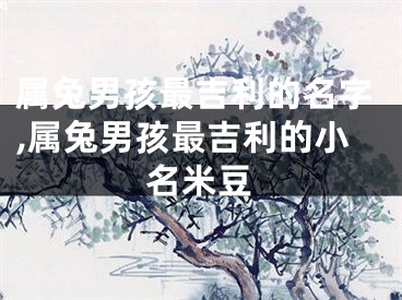 属兔男孩最吉利的名字,属兔男孩最吉利的小名米豆