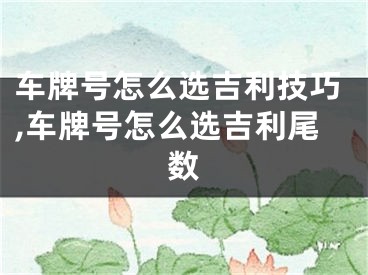 车牌号怎么选吉利技巧,车牌号怎么选吉利尾数