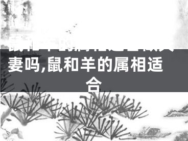 鼠和羊的属相适合做夫妻吗,鼠和羊的属相适合