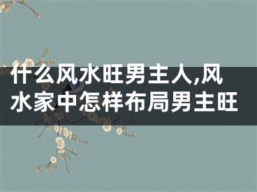 什么风水旺男主人,风水家中怎样布局男主旺