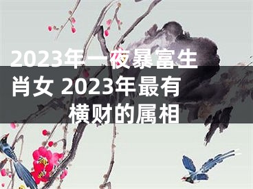 2023年一夜暴富生肖女 2023年最有横财的属相