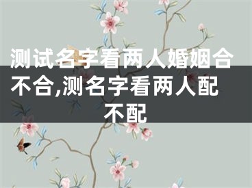 测试名字看两人婚姻合不合,测名字看两人配不配