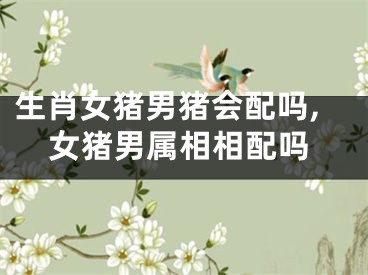 生肖女猪男猪会配吗,女猪男属相相配吗
