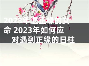 2023年遇正缘的女命 2023年如何应对遇到正缘的日柱