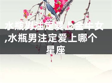 水瓶男注定爱上金牛女,水瓶男注定爱上哪个星座