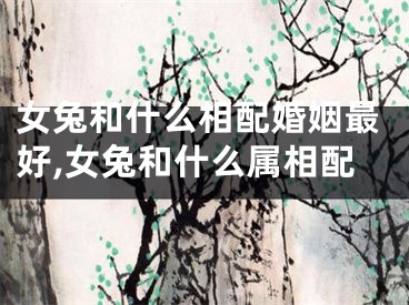 女兔和什么相配婚姻最好,女兔和什么属相配