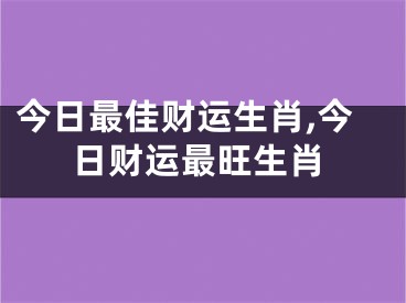 今日最佳财运生肖,今日财运最旺生肖