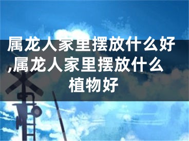 属龙人家里摆放什么好,属龙人家里摆放什么植物好