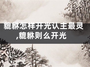 貔貅怎样开光认主最灵,貔貅则么开光