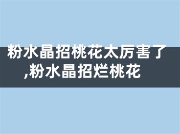 粉水晶招桃花太厉害了,粉水晶招烂桃花