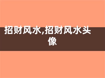 招财风水,招财风水头像