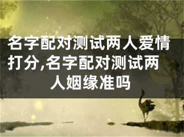 名字配对测试两人爱情打分,名字配对测试两人姻缘准吗