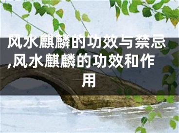 风水麒麟的功效与禁忌,风水麒麟的功效和作用