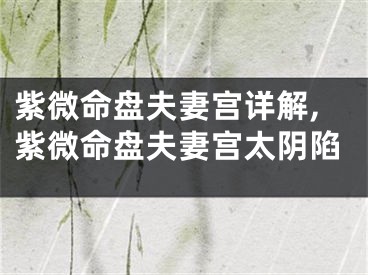 紫微命盘夫妻宫详解,紫微命盘夫妻宫太阴陷