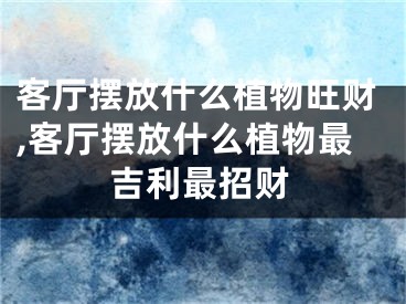客厅摆放什么植物旺财,客厅摆放什么植物最吉利最招财