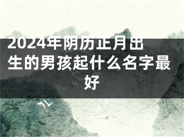 2024年阴历正月出生的男孩起什么名字最好