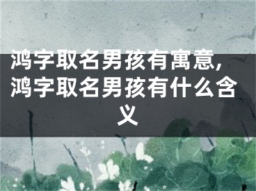 鸿字取名男孩有寓意,鸿字取名男孩有什么含义