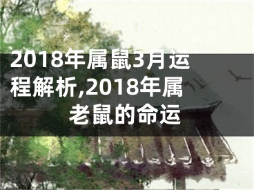 2018年属鼠3月运程解析,2018年属老鼠的命运