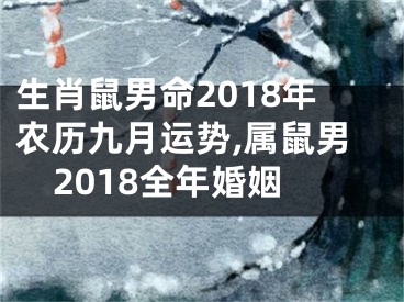 生肖鼠男命2018年农历九月运势,属鼠男2018全年婚姻