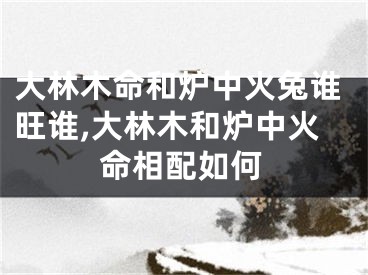 大林木命和炉中火兔谁旺谁,大林木和炉中火命相配如何