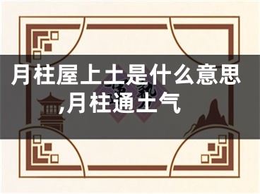 月柱屋上土是什么意思,月柱通土气