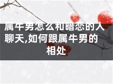 属牛男怎么和暗恋的人聊天,如何跟属牛男的相处