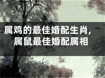 属鸡的最佳婚配生肖,属鼠最佳婚配属相
