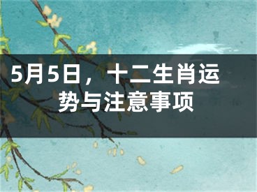 5月5日，十二生肖运势与注意事项