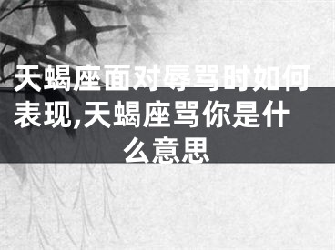 天蝎座面对辱骂时如何表现,天蝎座骂你是什么意思