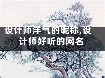 设计师洋气的昵称,设计师好听的网名