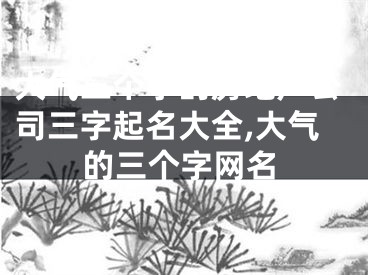 大气三个字的房地产公司三字起名大全,大气的三个字网名