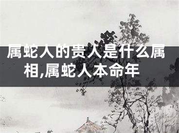 属蛇人的贵人是什么属相,属蛇人本命年