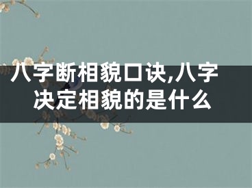八字断相貌口诀,八字决定相貌的是什么