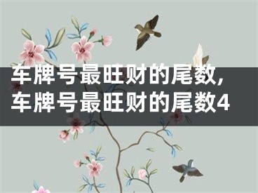 车牌号最旺财的尾数,车牌号最旺财的尾数4