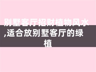 别墅客厅招财植物风水,适合放别墅客厅的绿植