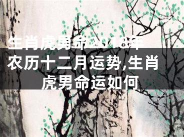 生肖虎男命2018年农历十二月运势,生肖虎男命运如何
