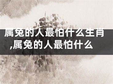 属兔的人最怕什么生肖,属兔的人最怕什么