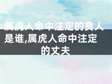 属虎人命中注定的贵人是谁,属虎人命中注定的丈夫