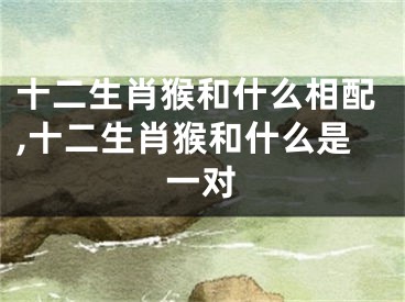 十二生肖猴和什么相配,十二生肖猴和什么是一对