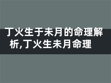 丁火生于未月的命理解析,丁火生未月命理