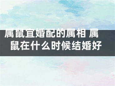 属鼠宜婚配的属相 属鼠在什么时候结婚好